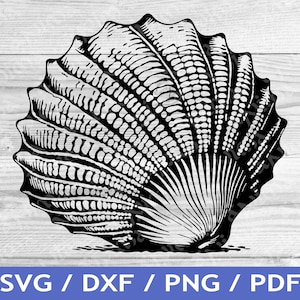 Seashell SVG Cut Out / Sea Shell T-Shirt Design / Sea Shell Vector / Laser File / Sublimation Print / SVG Stencil / Commercial Rights