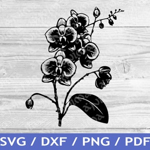 Orchid SVG Cut Out / Orchid Cricut Design / Orchid Flowers Vector / Orchid Vector / Laser File / Sublimation Print / SVG Stencil / Tattoo
