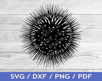 Sea Urchin SVG Cut Out / Sea Urchin T-Shirt Design / Ocean Vector / Laser File / Sublimation Print / SVG Stencil / Commercial Rights