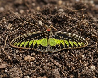 Broche de esmalte borboleta asa de pássaro da Rajah Brooke - Broche exótico de colecionador em esmalte rígido, broche de lapela inspirado na natureza