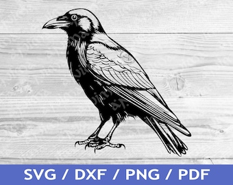 Raven SVG Cut Out / Raven Bird Cricut Design / Bird T Shirt Design / Laser File / Sublimation Print / SVG Stencil / Tattoo