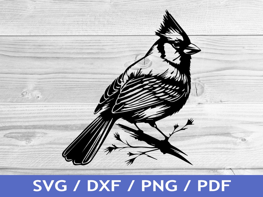 Cardinal SVG Cut Out / Cardinal Cricut Design / Bird Vector / Laser