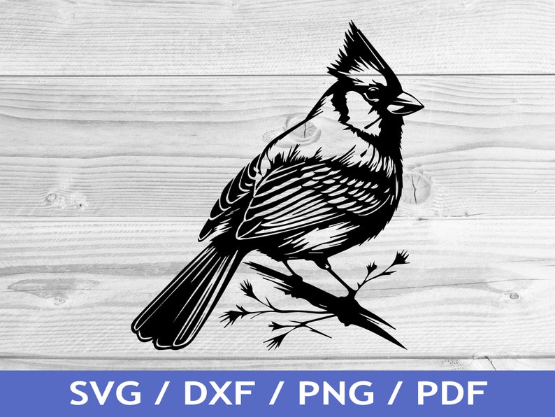 Cardinal Cut File Cardinal SVG Cut Out / Cardinal Cricut Design / Bird Vector / Laser ...