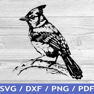 BLUEY TORONTO BLUE JAYS svg eps dxf png file, Digital Download, Instan –  lasoniansvg