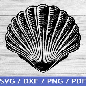May include: Black and white seashell design. The image features a detailed illustration of a scallop shell with intricate lines and patterns. The text at the bottom reads "SVG / DXF / PNG / PDF".