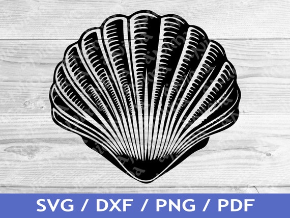 Clamshell SVG Cut Out / Clam Shell Design / Sea Shell Vector / Ocean Vector  / Laser File / Sublimation Print / SVG Stencil / Tattoo - Etsy