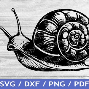 Découpe SVG escargot / Cricut Design escargot / vecteur d'escargot / vecteur Animal / fichier laser / impression par sublimation / pochoir SVG / tatouage
