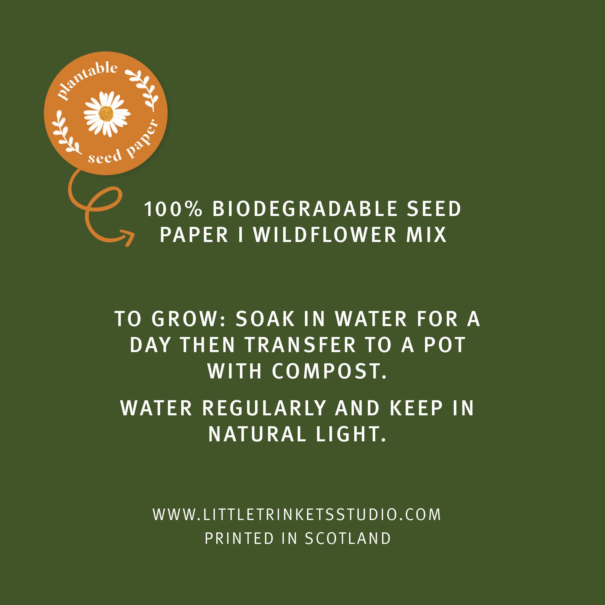 Plantable Flower Seed Paper Cards Birthday Card Etsy UK