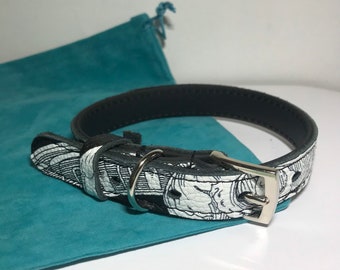 versace dog accessories