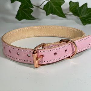 Pale pink leather dog clearance collar