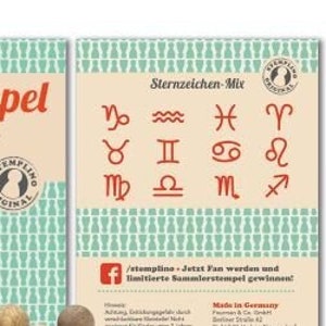 Stempelset mini houten stempelset sterrenbeelden, 12 stuks met stempelkussen