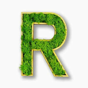 Moosly® cuadro de musgo - R - letra hecha de musgo de reno preservado con marco arte decoración de la sala de estar pared plantas tatuaje de pared