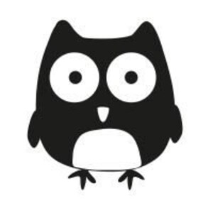 Owl Mini image 2