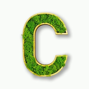 Moosly® cuadro de musgo - C - letra hecha de musgo de reno preservado con marco arte decoración de la sala de estar pared plantas tatuaje de pared