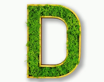 May include: A wooden letter "D" filled with vibrant green moss. The letter has a light brown frame and a white interior. The moss adds a natural, textured element to the design, creating a unique decorative piece.