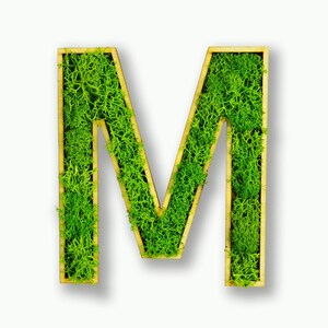Moosly® Cuadro de musgo - M - Letra hecha de musgo islandés conservado con marco, arte, decoración de salón, pared, plantas, tatuaje de pared