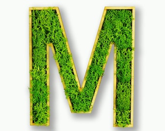 Moosly® Moosbuchstabe - M - selbstklebend made in Germany Moosbild Wandbild Moos Deko Holzbuchstabe Wandtattoo Wanddeko (ca. 12 x 6 cm)