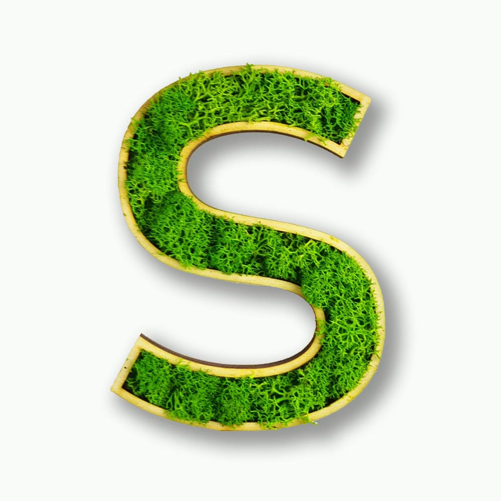 Moosly® Image De Mousse - N - Lettre En Mousse De Renne Préservée Avec Cadre Art Décoration De Salon Plantes Murales Tatouage Mural - France