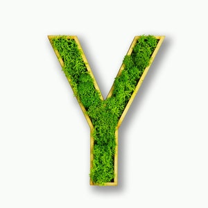 Moosly® Cuadro de musgo - Y - Letra hecha de musgo de reno preservado con marco, arte, decoración de salón, pared, plantas, tatuaje de pared