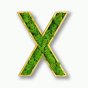 Moosly® Cuadro de musgo - X - Letra hecha de musgo de reno preservado con marco, arte, decoración de salón, pared, plantas, tatuaje de pared