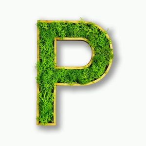 Moosly® Cuadro de musgo - P - Letra hecha de musgo de reno preservado con marco, arte, decoración de salón, pared, plantas, tatuaje de pared