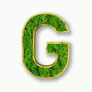 Moosly® cuadro de musgo - G - letra hecha de musgo de reno preservado con marco arte decoración de la sala de estar pared plantas tatuaje de pared