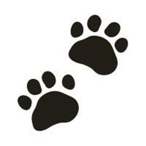 Paws Mini image 3