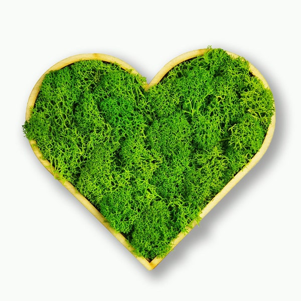 Moosly® Regalos del Día de la Madre - Corazón de musgo - Imagen autoadhesiva de musgo decoración de pared letrero sostenible de madera pegatina de pared en forma de corazón