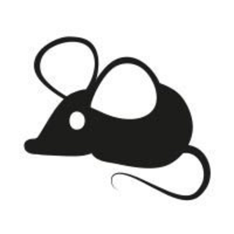 Mouse Mini image 2
