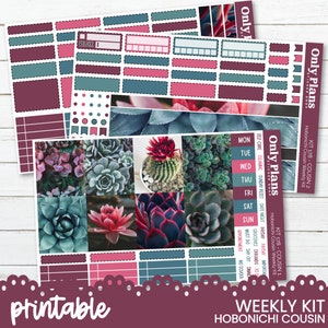 May include: Printable weekly planner sticker kit for the Hobonichi Cousin planner. The kit features a succulent theme with images of various succulents in shades of green, pink, and red. The kit includes a variety of stickers, including boxes, banners, and labels. The kit is labelled "Only Plans" and "Hobonichi Cousin Weekly Kit".