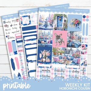 May include: Printable weekly planner stickers with a summer in the city theme. The stickers feature a blue and pink colour scheme with illustrations of a city fountain, a blue door, a dog, a floral arrangement, and a checkered pattern. The stickers are designed for use with the Hobonichi Cousin planner.