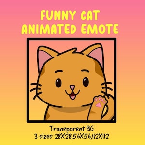 Gesto de Twitch animado de gato lindo, paquete de gestos de meme de gato divertido, gesto de gato naranja para streamers, gesto de juego personalizado, gesto de discordia