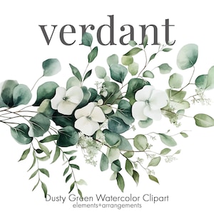 Verdant, Greenery clipart, watercolor greenery clip art, Boho Wedding, watercolor eucalyptus, sage green wedding clipart, PNG transparent