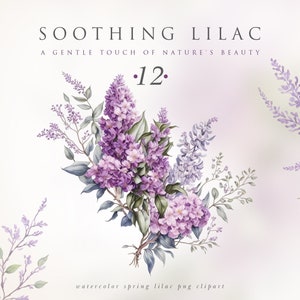 Relajantes flores lilas, imágenes prediseñadas lilas de acuarela, imágenes prediseñadas de boda de elementos florales digitales, ramos lilas, arreglos lilas, corona lila