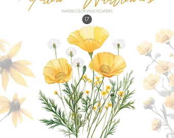 Yellow Wildflower Clipart: Watercolor Floral PNG (Digital Download)