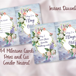 Bébé nouveau-né Milestone Floral Printable Cards Digital Download for New Mom Gift ou Baby-to-Be Gift