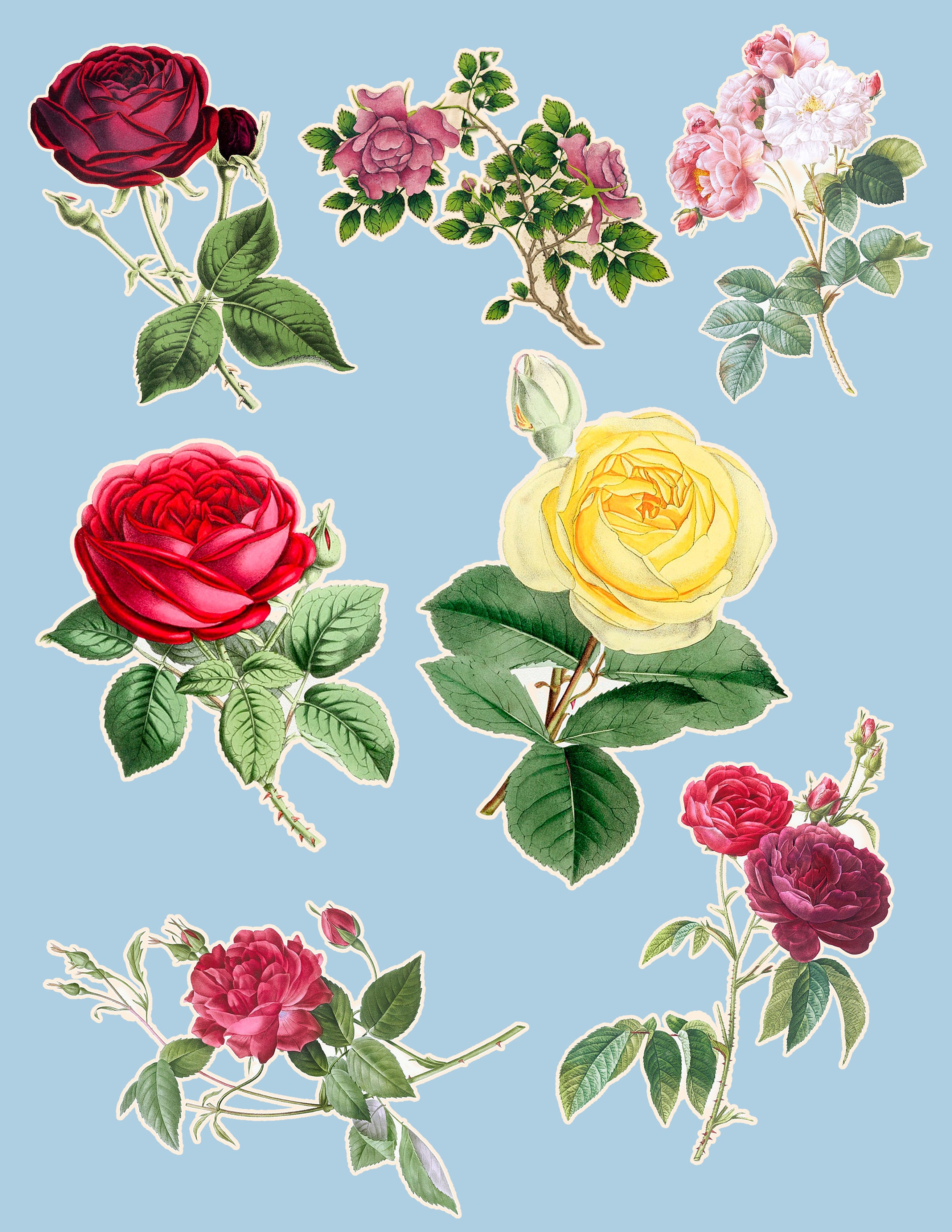 14 Printable Vintage Rose Images | Digital Collage Sheets | Instant ...