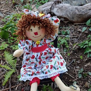 Ragdoll with Butterfly/Dragonfly Themed Dress