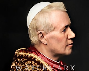 DOWNLOAD DIGITAL colorido personalizado Pintura fotográfica digital do Papa São Pio X
