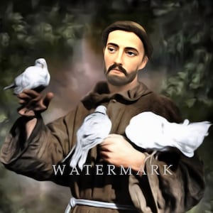 St. Francis of Assisi  Custom DIGITAL DOWNLOAD Digital Oil Painting