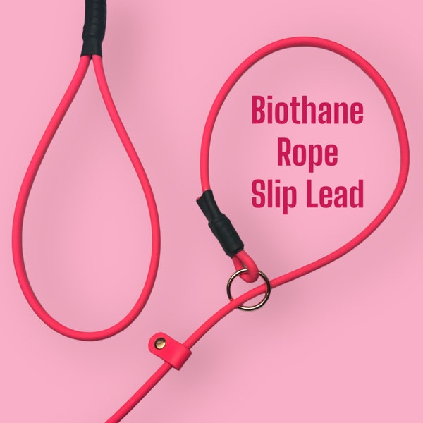 Biothane Rope Slip Leash