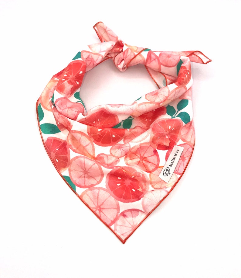 Pink Grapefruit Dog Bandana