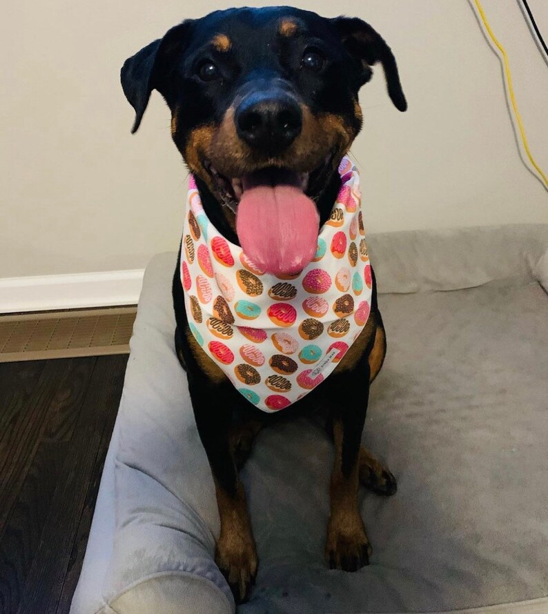 Download Donut Love Dog Bandana Pet Neckwear Pet Supplies Advancedrealty Com