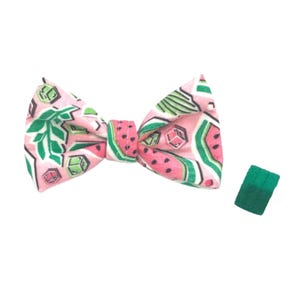 Watermelon Boy Dog Bow Tie, Red Fruit Boy Dog Bow Tie, Spring and Summer Boy Dog Bow Tie, Melon Dog Bow Tie, Dog Neckwear, Dog Gift Ideas