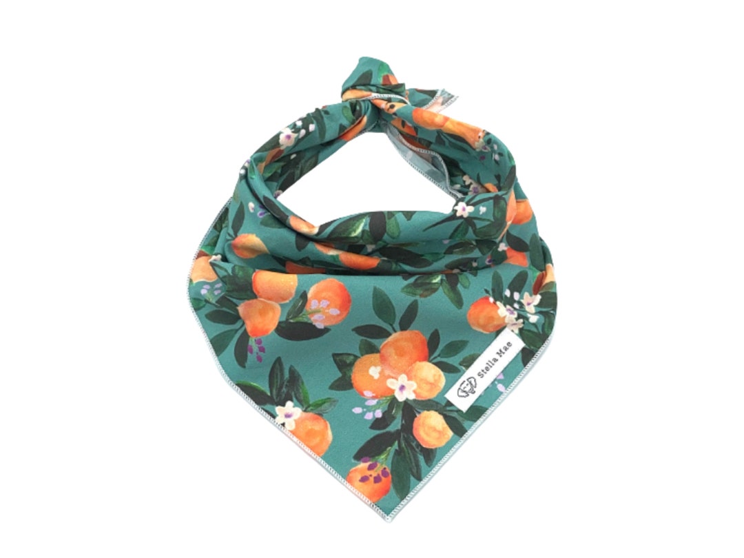 Sweet Clementines Dog Bandana, Fruit Dog Bandana, Spring Dog Bandana