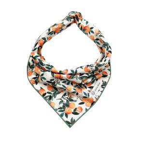 Sweet Clementines Dog Bandana: 100% Cotton, Tie-On or Slip-On, Personalized