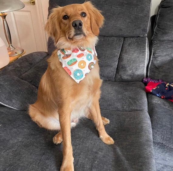 Donut dog bandana cheap