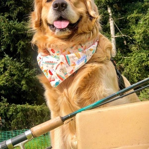 Puede incluir: Un golden retriever lleva un pa&ntilde;uelo triangular de color claro con un patr&oacute;n colorido de se&ntilde;uelos y anzuelos de pesca. El perro tiene pelaje largo de color marr&oacute;n claro, nariz negra y la boca abierta con la lengua visible. Una ca&ntilde;a est&aacute; en primer plano.
