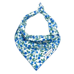 Blueberries Dog Bandana:  Pet Neckwear, Fruit Dog Scarf, Tie-On or Collar Slip-On, Personalizable