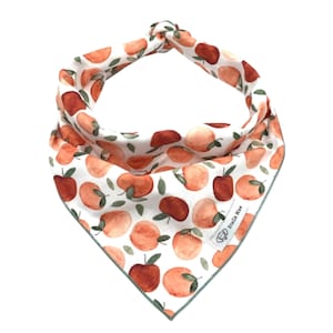 May include: A white triangular pet bandana featuring a repeating watercolor print of orange and red apples with green leaves. The fabric is tied at the top and includes a small white rectangular fabric tag with the text Stella Mae and a dog icon.